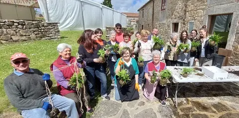 Facendo kokedamas no Couto Florido