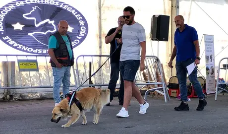 Imaxe do desfile da xornada canina do ano pasado en Zas
