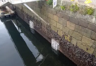 obras saneamento muros