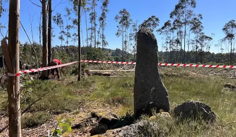 2025.06.02.- Limpeza parcela menhir Erboedo