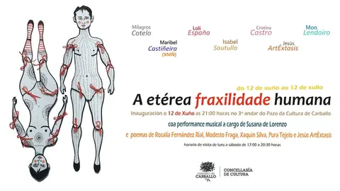 expo fraxilidade huma cartaz 2