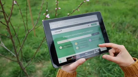 ficar-aqui-portal-emprego