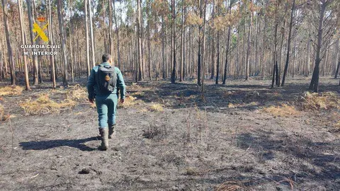 Garda Civil investigacion incendios laxe