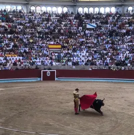 Morante instantes antes de ser collido