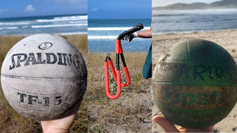 limpeza nemina crebas