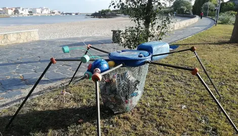 Insecto come lixo na praia de Camelle