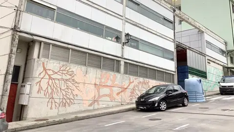 CEIP Virxe da Barca de Muxia-recortes