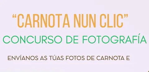 cartel concurso de fotografia copia