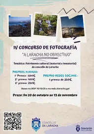 A Laracha no obxectivo copia