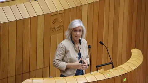 Patricia Iglesias no Parlamento-PSOE CARBALLO 21 de outubro