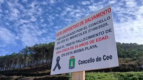 Cartel salvamento Lires
