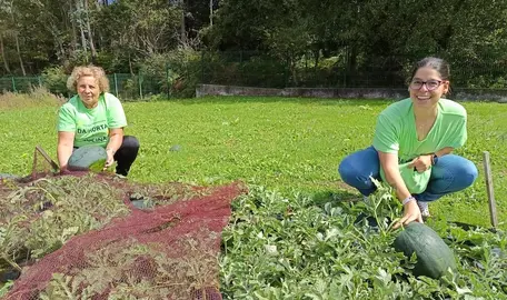Voluntario agro de integro