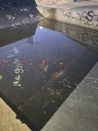 IMAXE - O PSDEG-PSOE A LARACHA DENUNCIA O ESTADO DA PISTA DE SKATE DO MUNICIPIO 