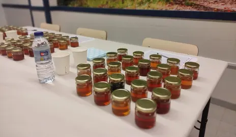 Cata de mel no EFA Fonteboa de Coristanco