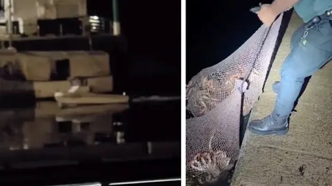 decomiso 75 kg centola ne Camarinas