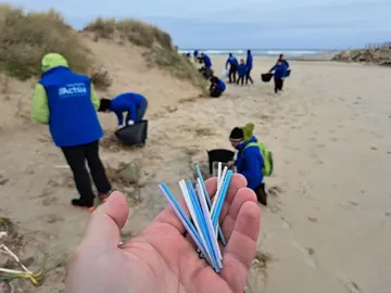 Bastonciños na praia de Baldaio-Razo