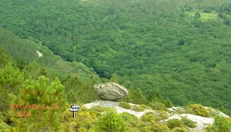 Devesa do Anallares-Foto-Modesto