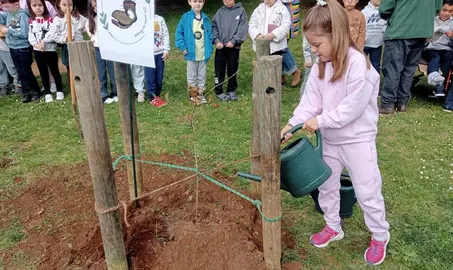 Dia da arbore con Senda Nova
