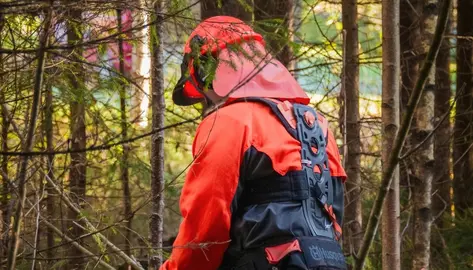 Obradoiro mellora Montes