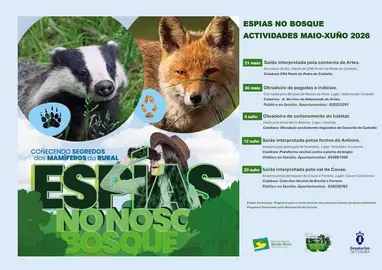 Espias do Bosque de Senada Nova 2026