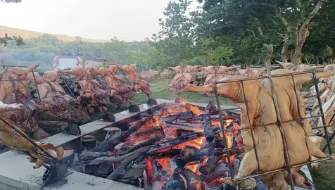 Festa do Porquino da Pereirina