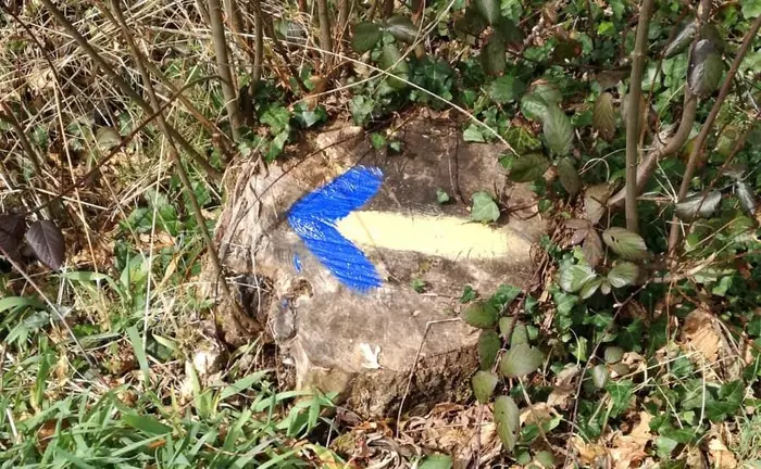 A Via Mariana ao seu paso por Bainas