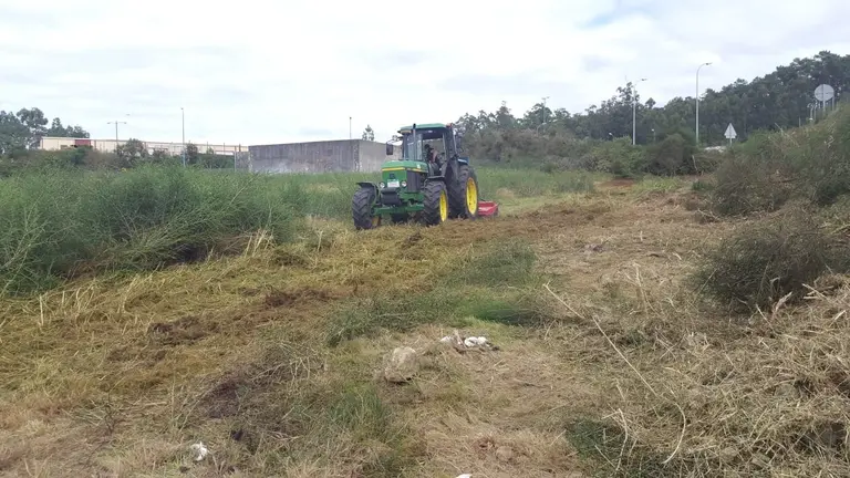 Limpieza Cee poligono