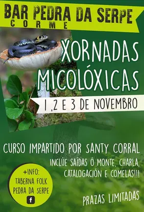 Xornadas Micoloxicas Corme copia