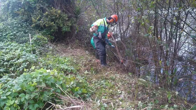 Labores de limpeza no r&iacute;o Berdeogas