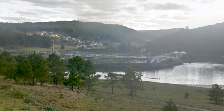 Piscifactoria Tres Mares en Lires