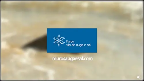 Muros Auga e Sal