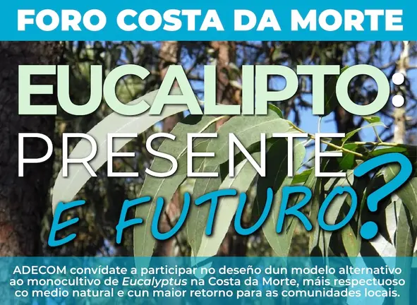 200801 I Foro CDM - Eucalipto copia