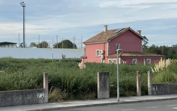 Parcela particular en Lestón sen xestionar a biomasa