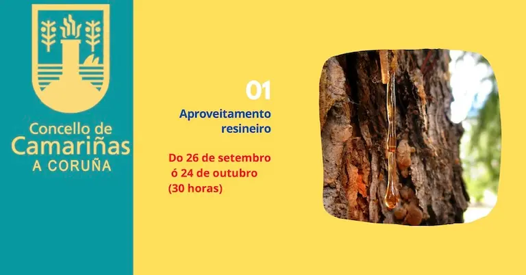 Actividades para a reactivación do monte en Camarinas copia