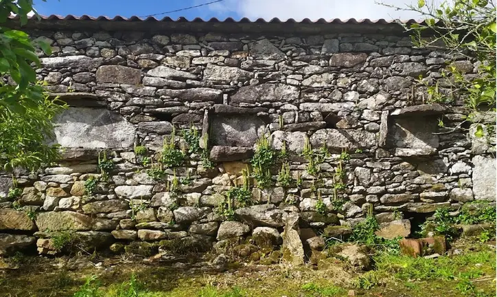 1(Portada) En Boallo,tres Lacenas de abellas nun cabanel dos carros. copia