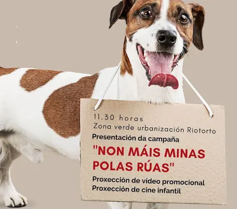 Non mais cacas polas ruas