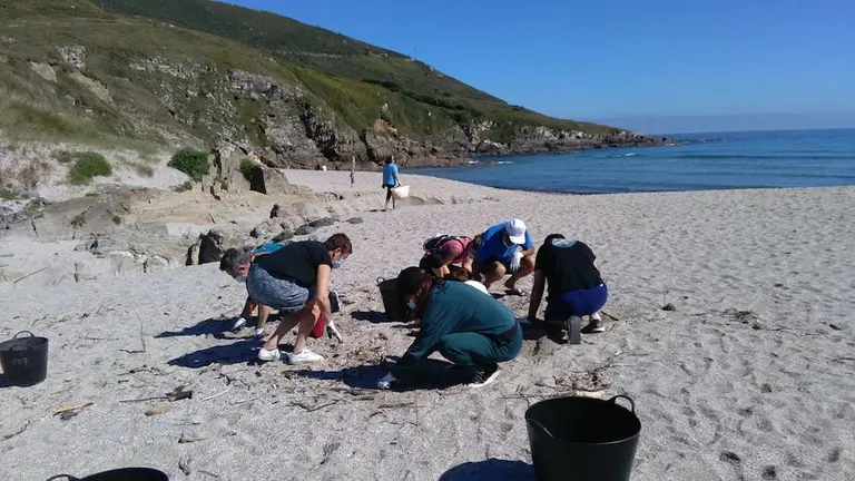 Limpeza praia Seaia-Malpica