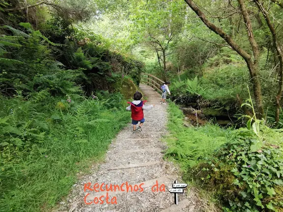 Sendeiro do Rego dos Muinos