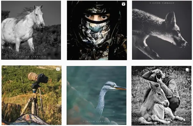 Javier Carballo e o Bichino