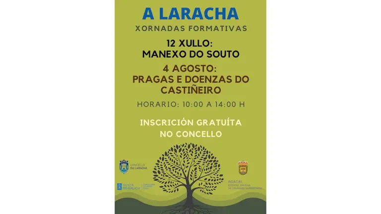 Xornadas Formativas Laracha Castineira
