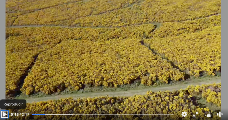 Captura de pantalla 2022-07-25 a las 10.09.29