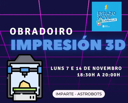 Obradoiro 3d en Carballo copia