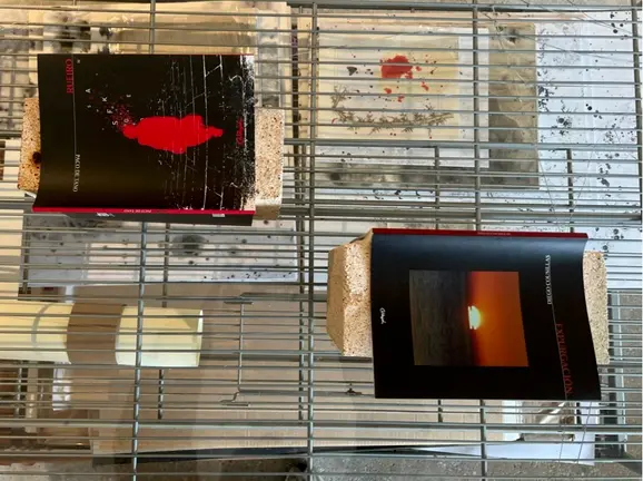 Poemarios &ldquo;Rueiro&rdquo; de Paco de Tano e &ldquo;Expurgación&rdquo; de Diego Cousillas publicados pola Editorial Caldeirón