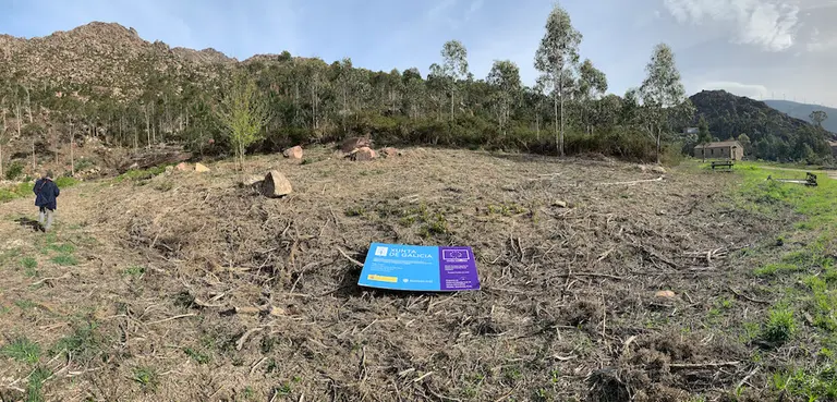 roza da xunta de carballo anano no Monte Pindo-Foto-Fins Eirexas
