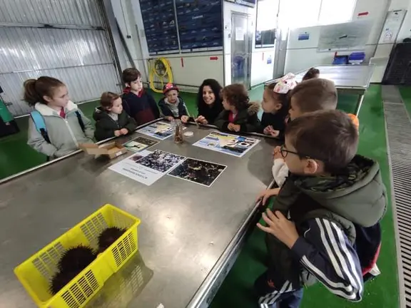 Rapazada de Laxe na lonxa