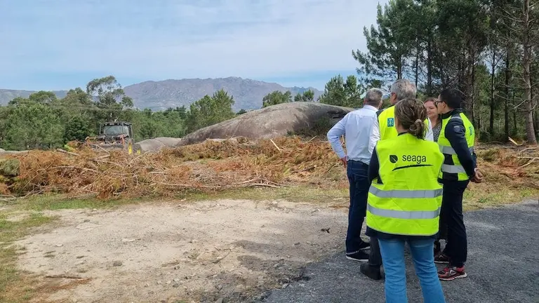 Xestion forestal biomasa Carnota_2023