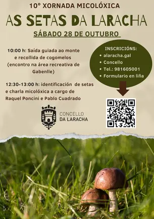 as setas da laracha 20213