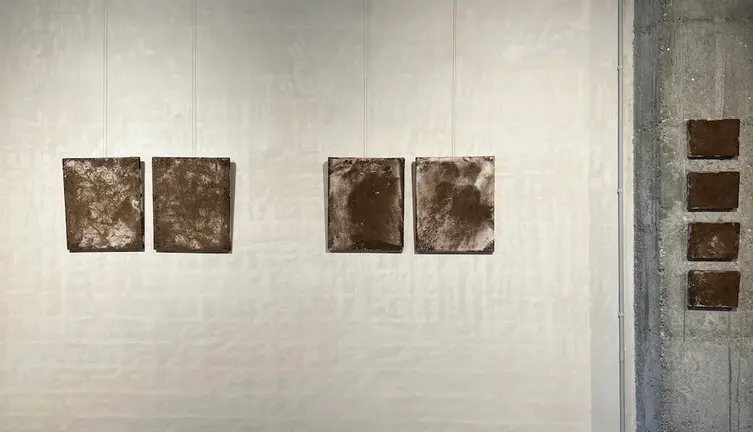 Exposicion Terra Galeria Manolo Eirin