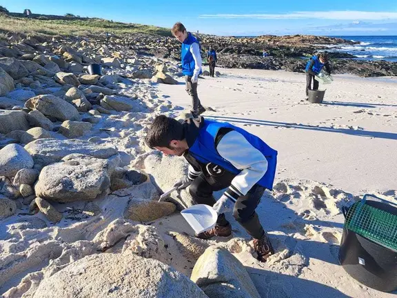 Limpeza Abanca larino Con regogedor en las rocas copia