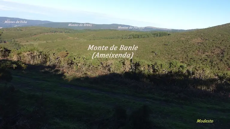 Monte de Banle-Ameixenda-Foto-Modesto Garcia Quintans 960